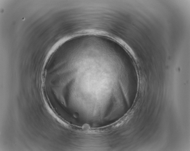 X0000086001381200704201820