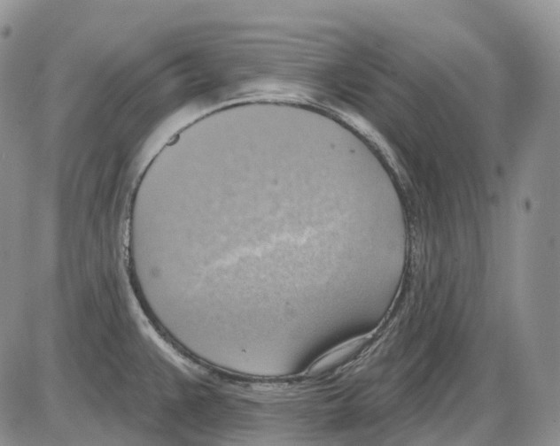 X0000086001383200704201820