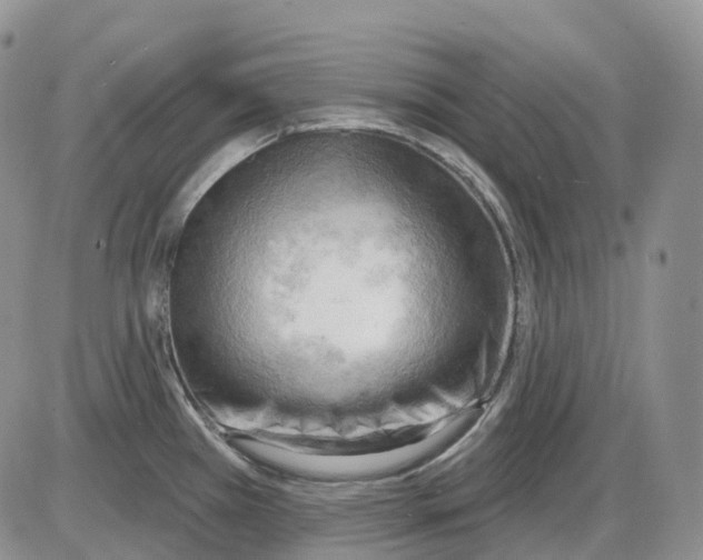 X0000086001385200704201820