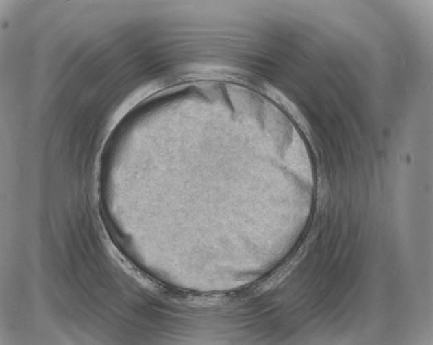 X0000086001386200704201820