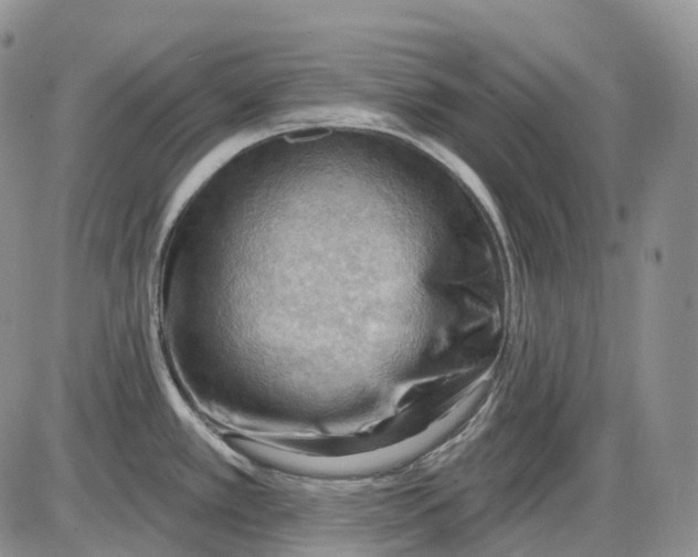 X0000086001389200704201820