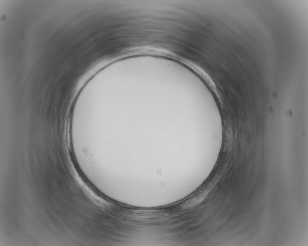 X0000086001391200704201820