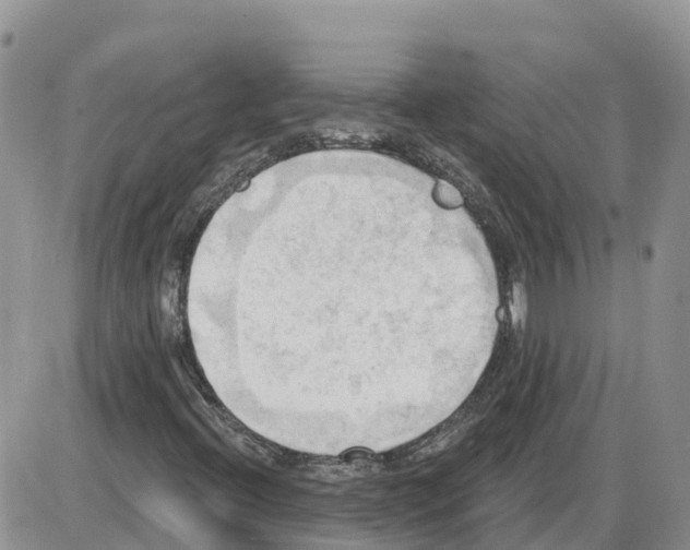 X0000086001396200704201820