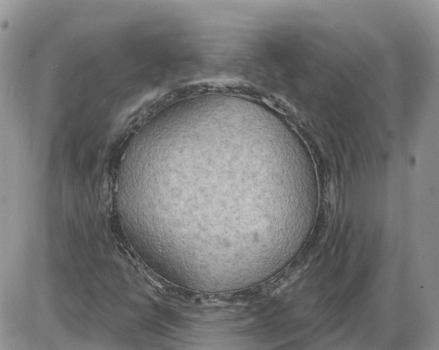 X0000086001398200704201820