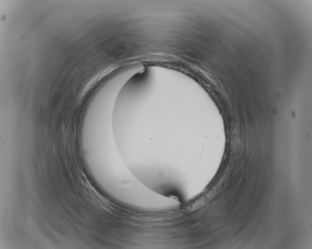 X0000086001402200704201820