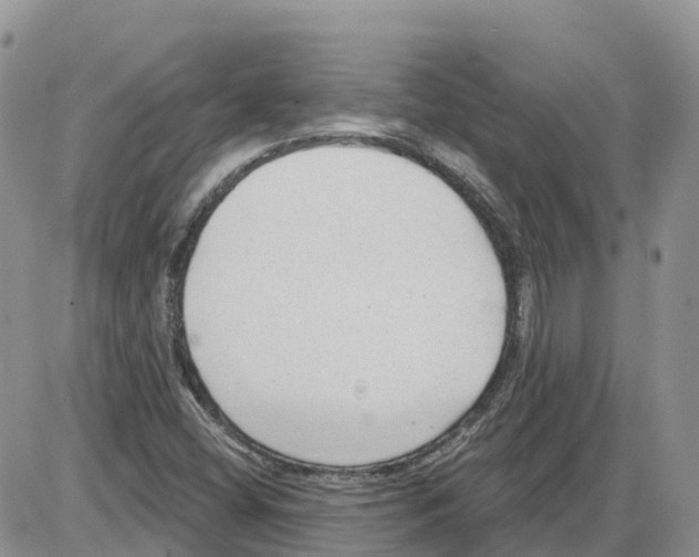 X0000086001404200704201820