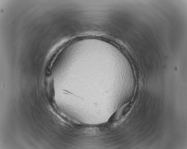 X0000086001406200704201820