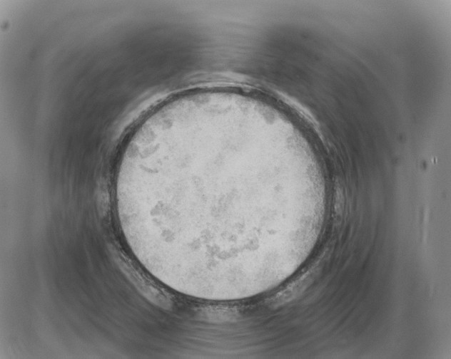 X0000086001407200704201820