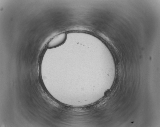 X0000086001408200704201820