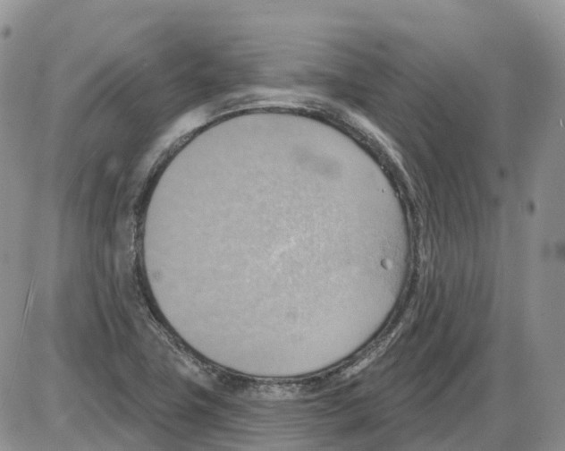 X0000086001411200704201820