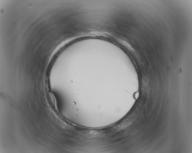 X0000086001412200704201820