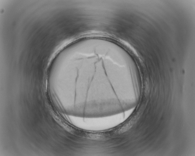 X0000086001413200704201820