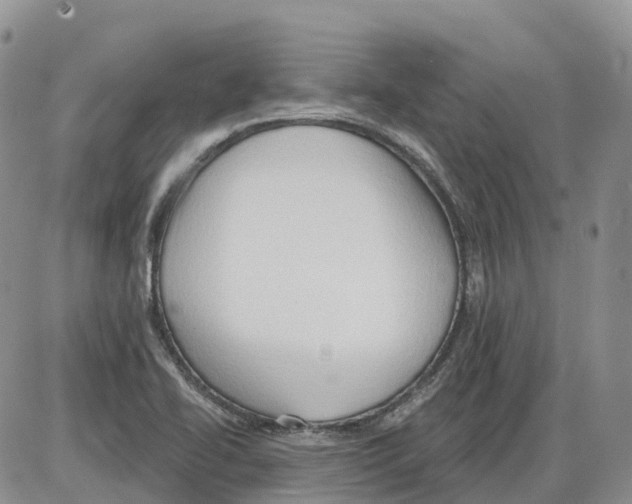 X0000086001414200704201820