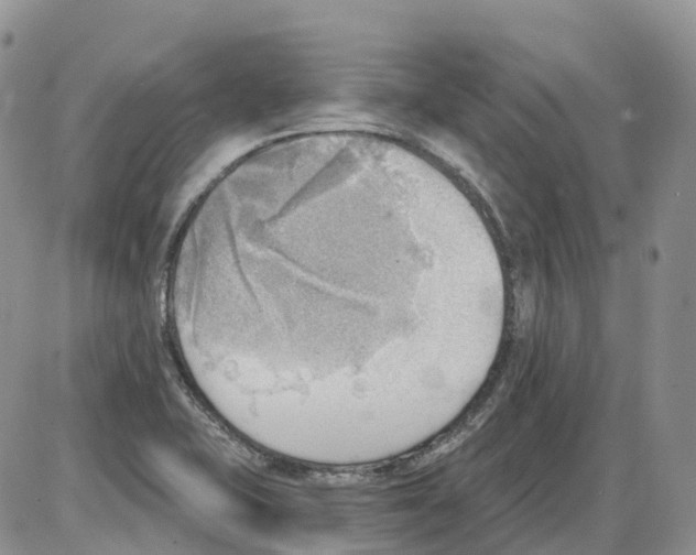 X0000086001415200704201820