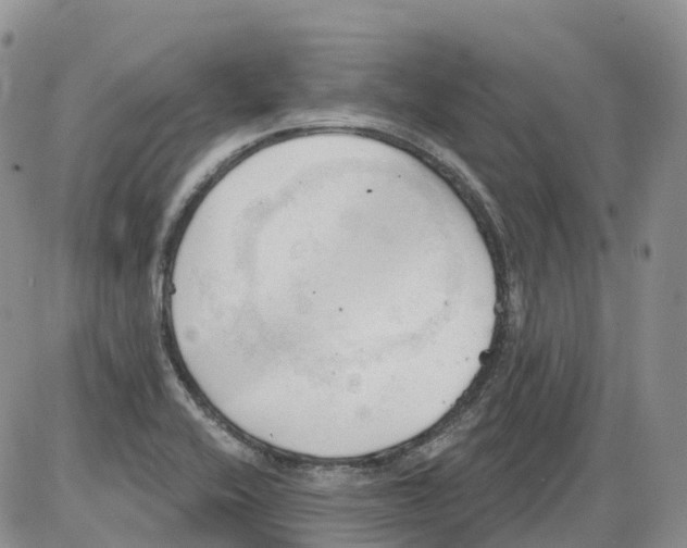 X0000086001416200704201820