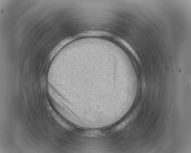 X0000086001417200704201820