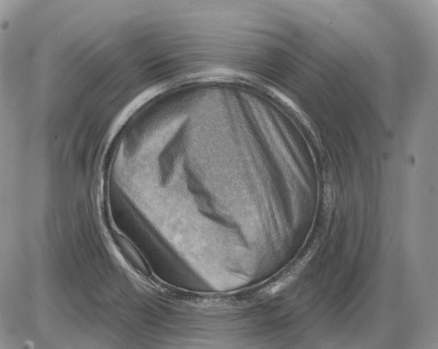 X0000086001418200704201820