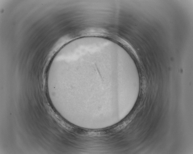 X0000086001419200704201820