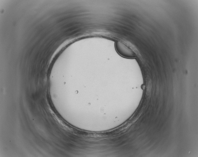 X0000086001420200704201820