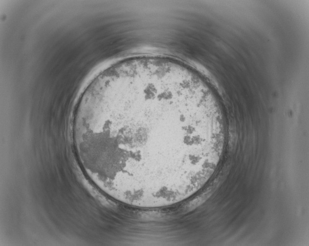 X0000086001421200704201820