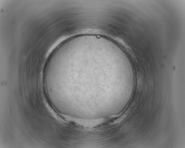 X0000086001422200704201820