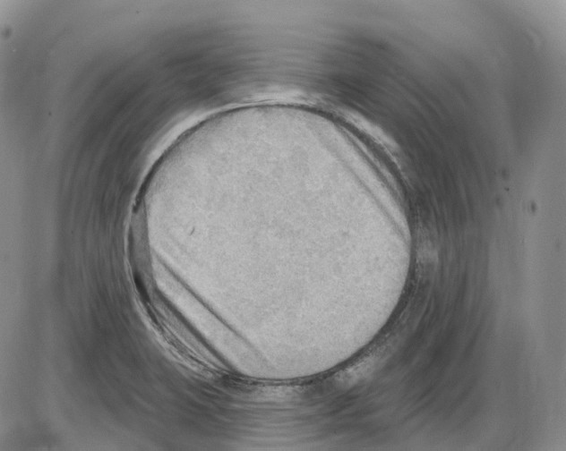 X0000086001423200704201820