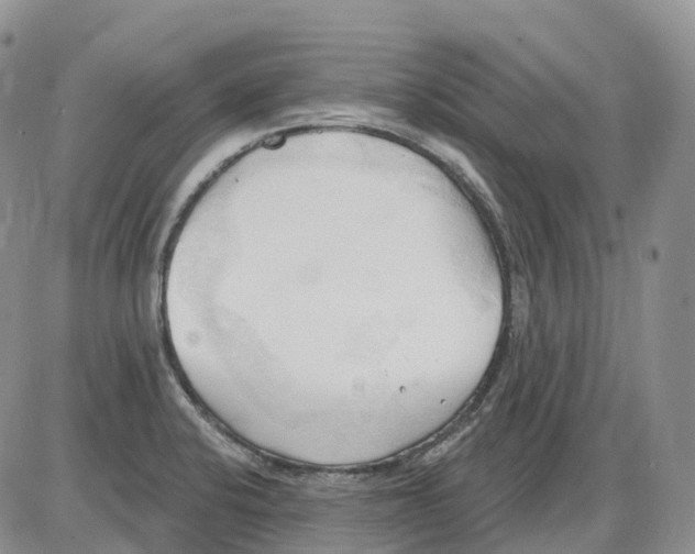 X0000086001424200704201820