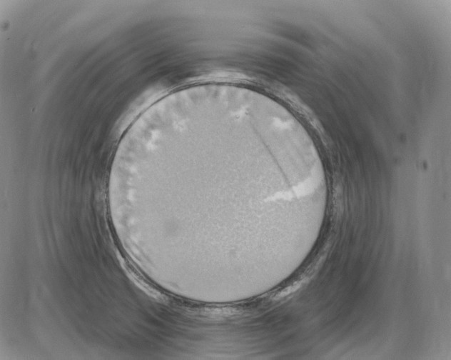 X0000086001425200704201820