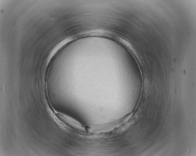 X0000086001426200704201820