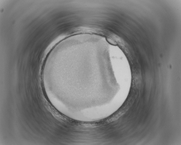 X0000086001427200704201820