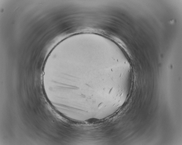 X0000086001428200704201820