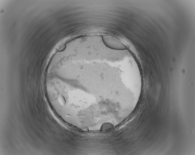 X0000086001429200704201820