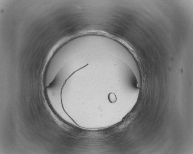 X0000086001430200704201820