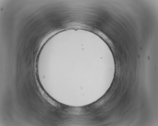 X0000086001431200704201820