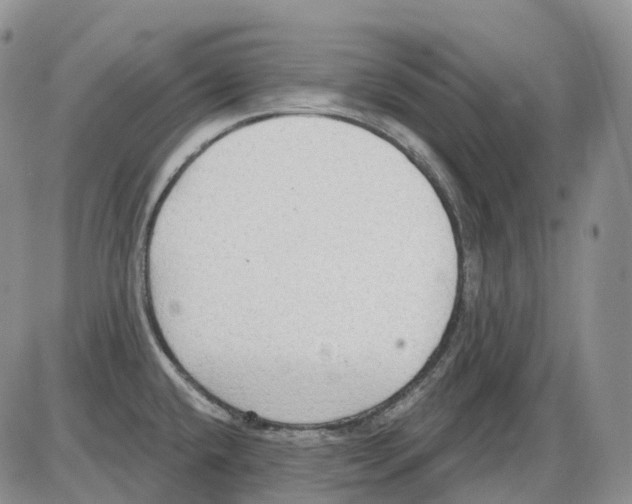 X0000086001432200704201820