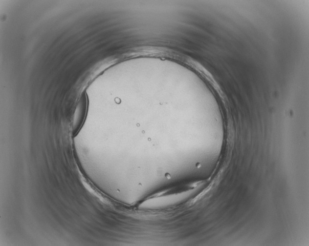 X0000086001433200704201820