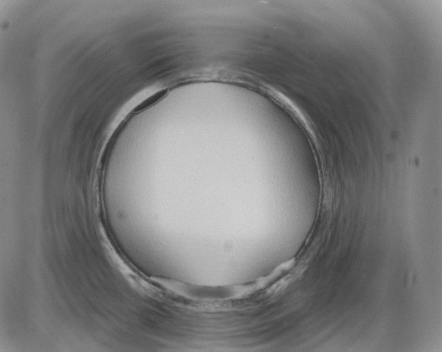 X0000086001434200704201820