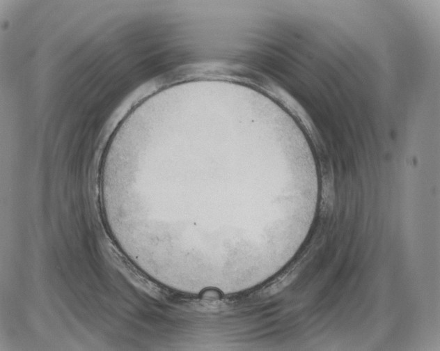 X0000086001435200704201820