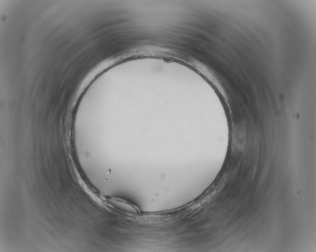 X0000086001437200704201820