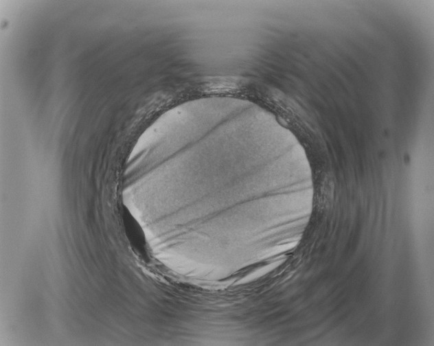 X0000086001441200704201819