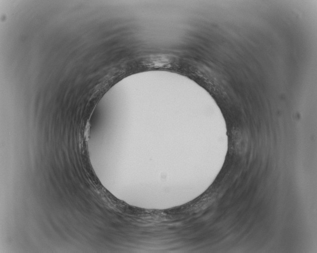 X0000086001442200704201819