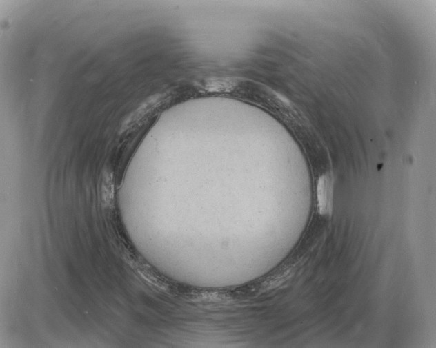 X0000086001443200704201819