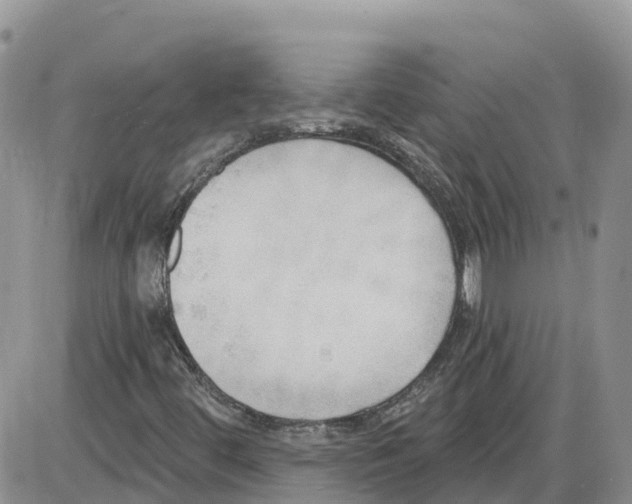 X0000086001444200704201819