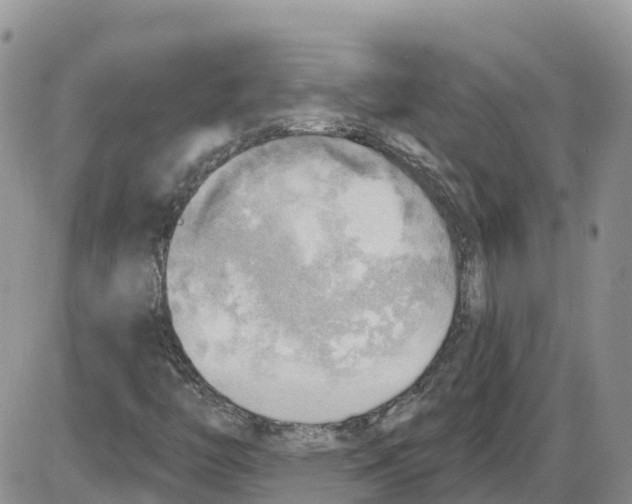 X0000086001446200704201819