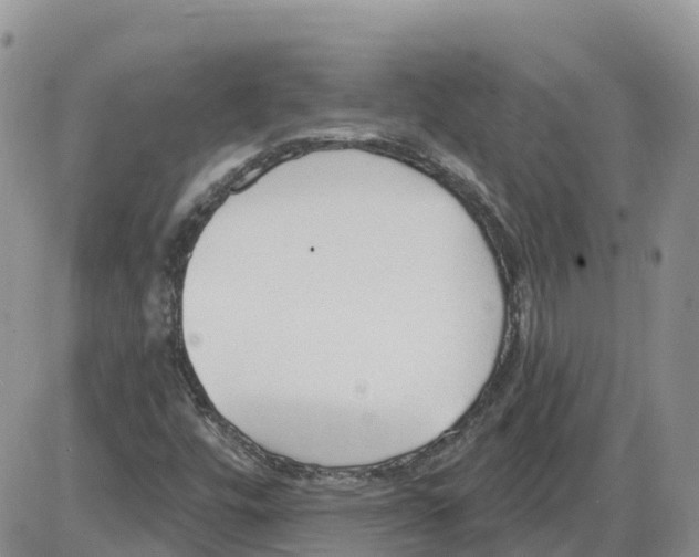 X0000086001448200704201819