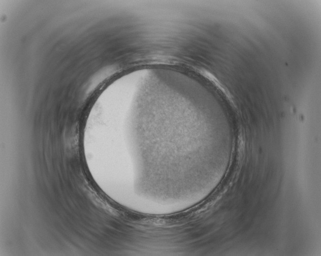 X0000086001450200704201819