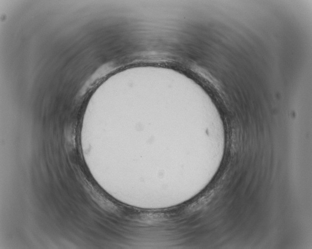 X0000086001451200704201819