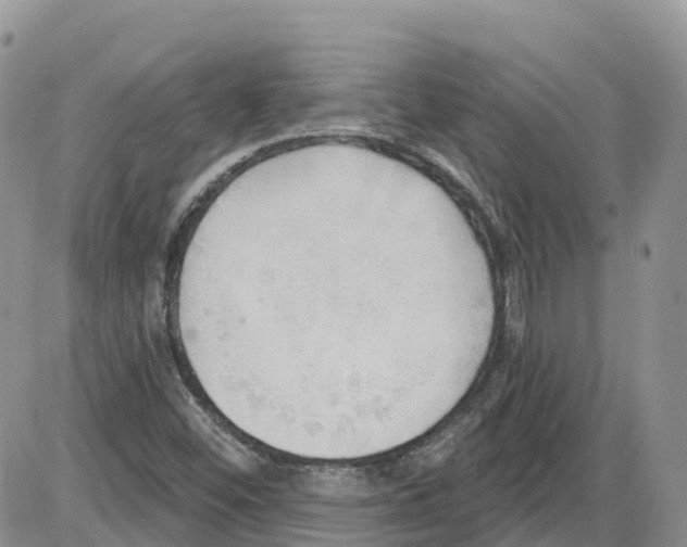 X0000086001452200704201819