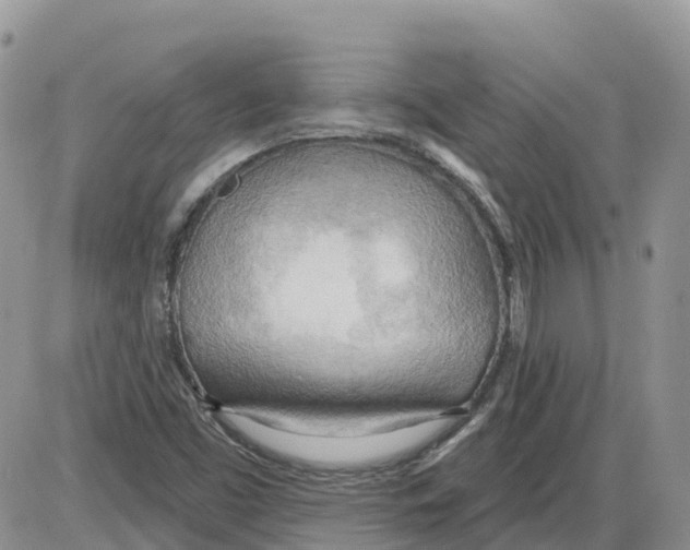 X0000086001453200704201819