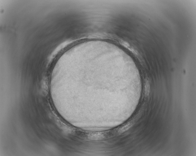 X0000086001454200704201819